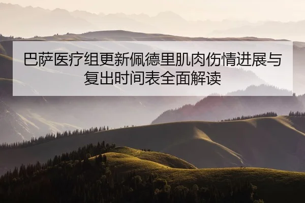 巴萨医疗组更新佩德里肌肉伤情进展与复出时间表全面解读